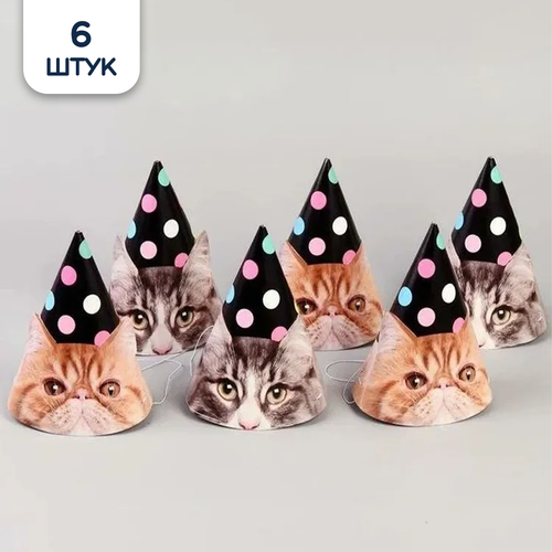 ���� ������ ������ ������������� 6��/G, ������ �� 280 ���