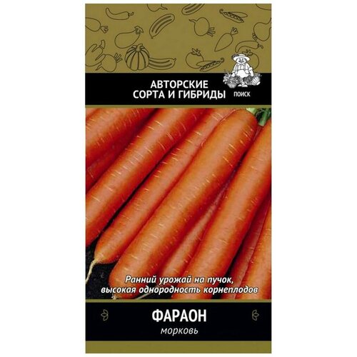 ���� ������ ������� ����� ������ 300 ��, ������ �� 279 ���