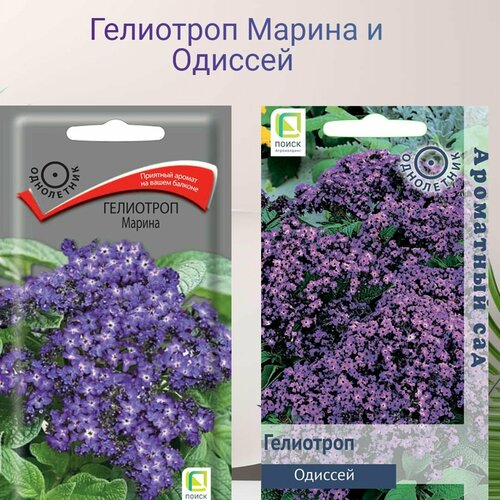 ���� ��������� ������ � ������� 2 ������ ������, ������ �� 349 ���