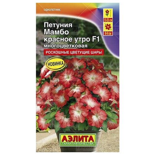 ���� ������. ������� �������������� 