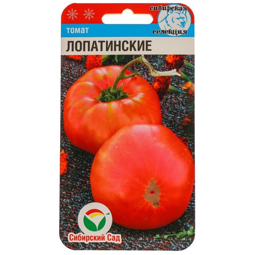 ���� ������ ����� 