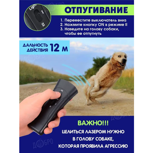 ���� �������������� ������������ ����� / ������� / ������������-������/ ����������� �����, ������ �� 621 ���