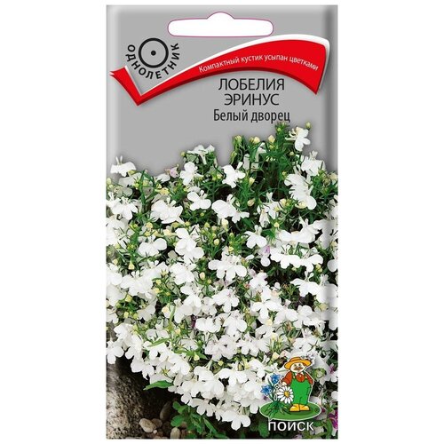 ���� ������ ������� ������ ����� ������ ���������� 0,1 ��., ������ �� 58 ���