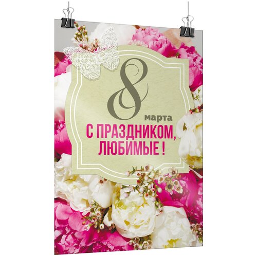    8  / -3 (30x42 .),   435 