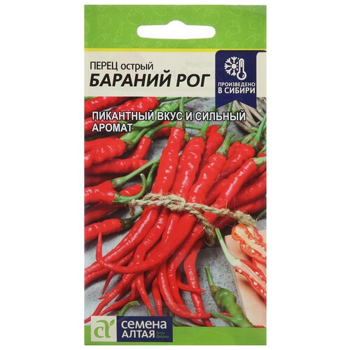 ���� ������ ����� ������ 