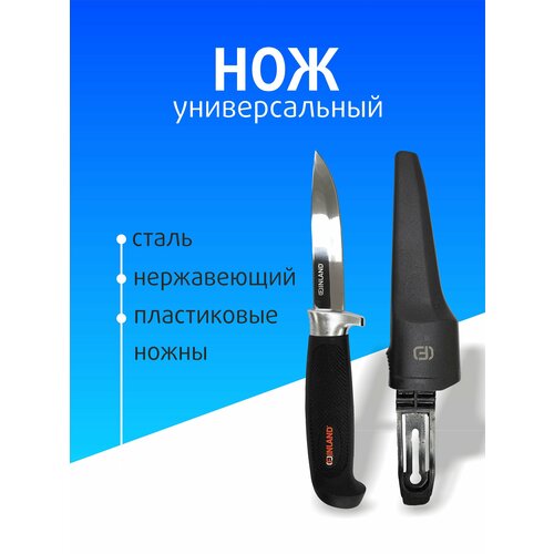 ���� ��� �� ����������� ����� 