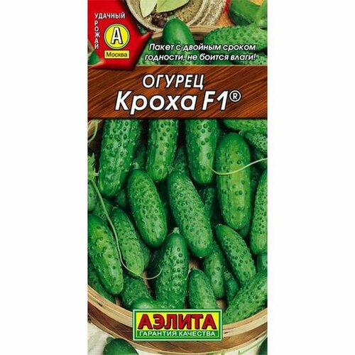 ���� ������ ������ ����� F1 (������) 10��, ������ �� 56 ���