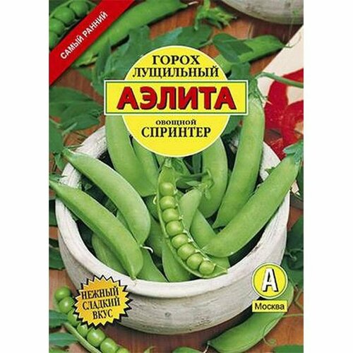 ���� ������ ����� �������� ��������� (�����������) (������) �/� 25�, ������ �� 53 ���