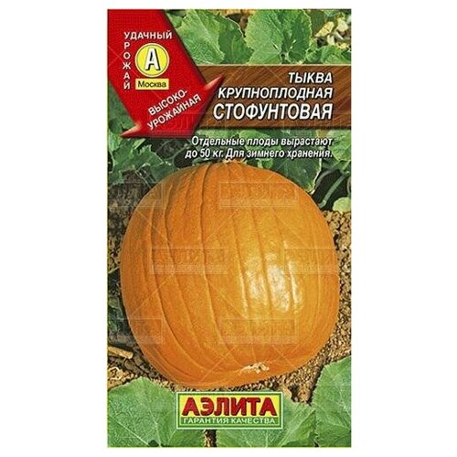 ���� ������. ����� ������������� 