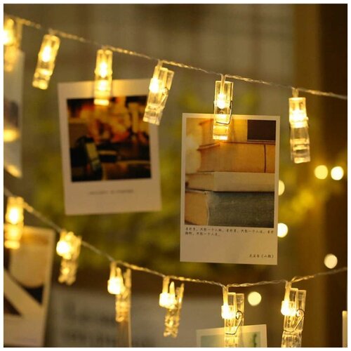 ���� ��������-���� 