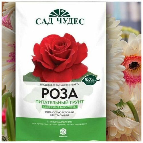 ���� ����� / ����� ��� ����������� ���, ���������, �������, ������, ������ , 5�, ������ �� 219 ���