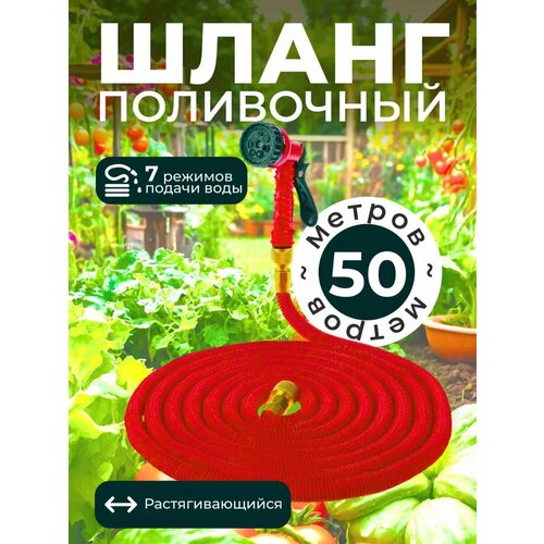 ���� ����� ������� ���������� ���������������, ������ �� 1383 ���