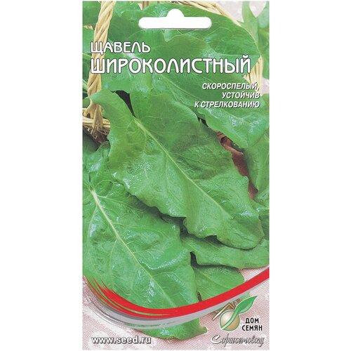 ���� ������ �������������, 100 �����, ������ �� 235 ���