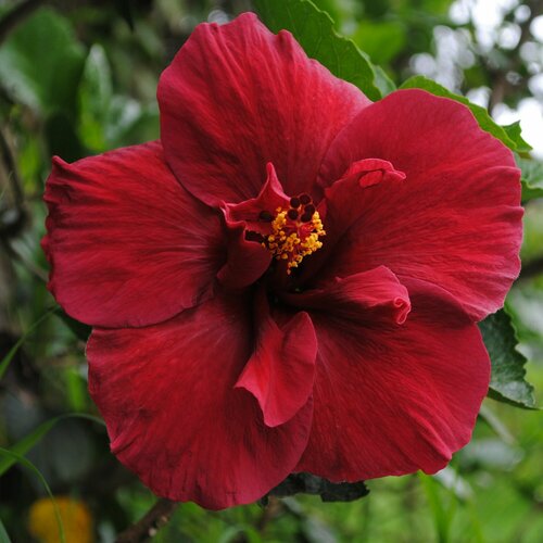 ���� �������� ���� ���, �����-�������, ����������� ��������������� ��������� ��� ���� � � ����, ��������� ����� 14 ������ ����� ������� �������� ��������, 3 �� �����, ������ �� 589 ���