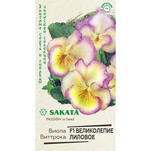 ���� ������. ����� 