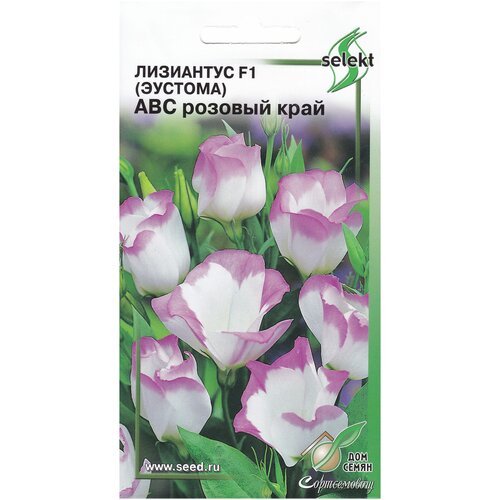   F1 ( )   , 5 ,   291 