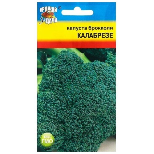 ���� ������ �������� ��� 