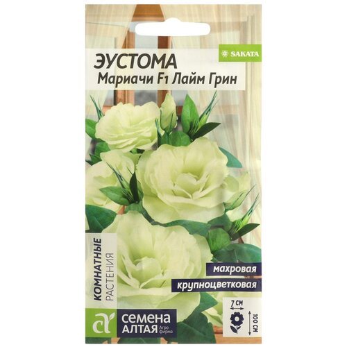 ���� ������ ������� ������ ����� 5 ��./��., ������ �� 135 ���