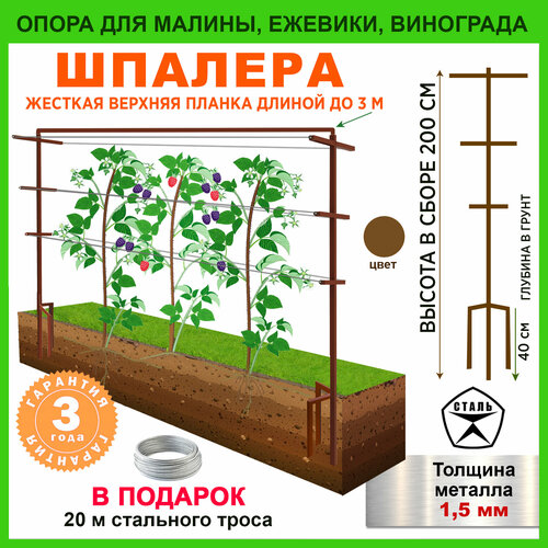 ���� ����� ��� ��������, ������� �������, ������ �� 5050 ���