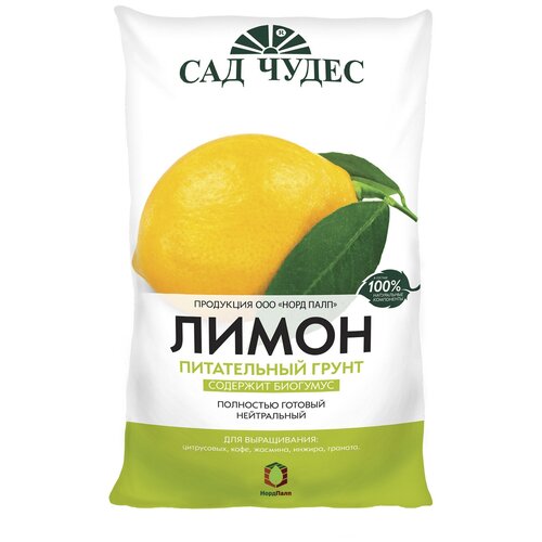 ���� ����� ����������� ����� 