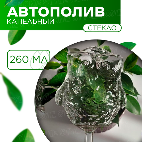 ���� ����� ��� �������� / ����� ��� ������ ������ / ������� ������ 