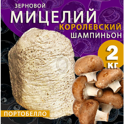 ���� ������� ���������� ������������ ���������� ��������, ������ ������ - 2 ��, ������ �� 1500 ���