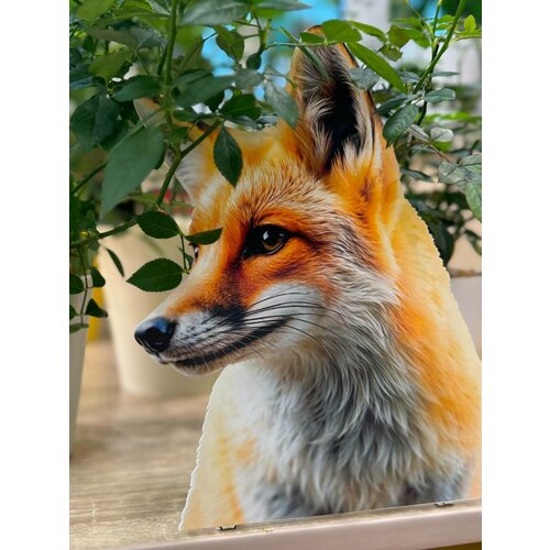 ���� ����� �� ������� ��� ����, ���� 