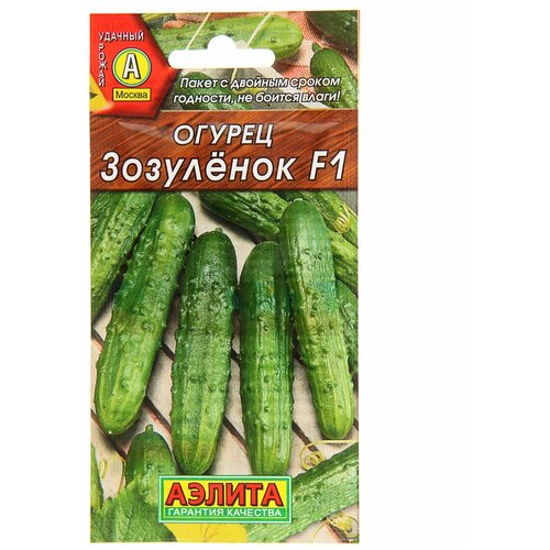 ���� ������ ������ 