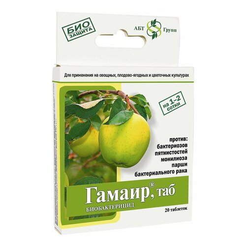 ���� ��������� ������ �� �������� �������� ��������, ������ �� 335 ���