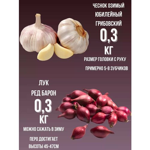 ���� ����� ������ ������ � ��� ����� 0.3��, ������ �� 450 ���