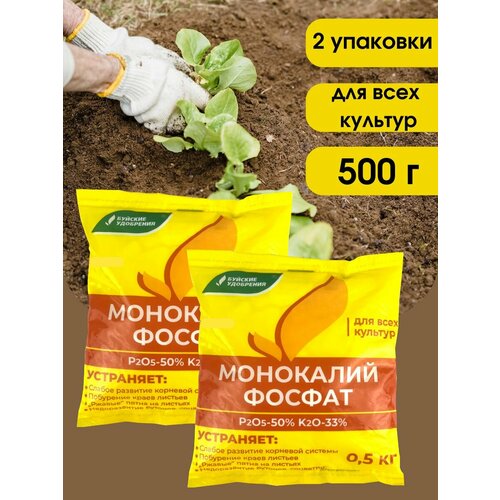 ���� ��������� ��������������� (���������� �����), 1 ��., ������ �� 605 ���