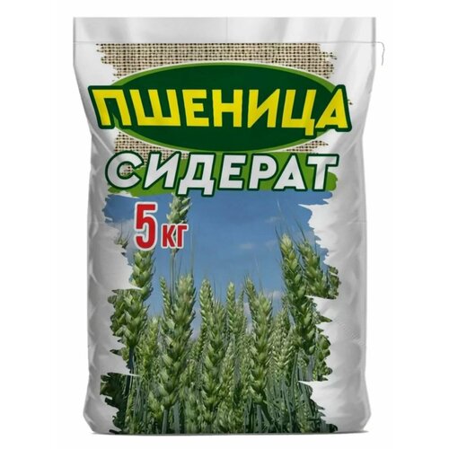 ���� ������� �������� ������� ������ ��� ������������ �����������, ������ �� 800 ���