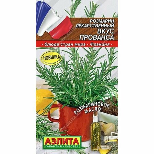 ���� ������ �������� ���� �������� (������) 20�� ����� ����� ����, ������ �� 66 ���