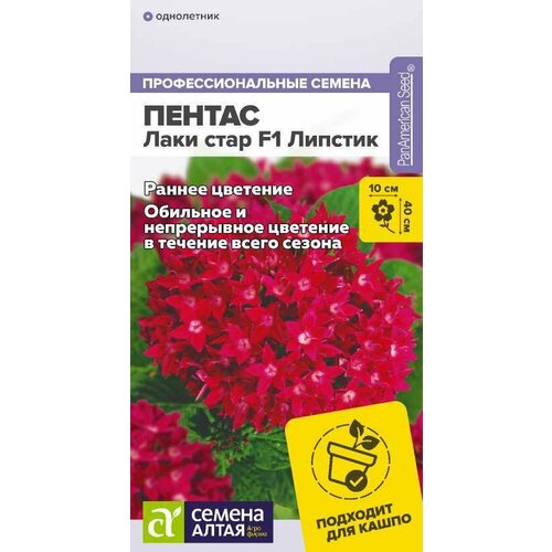 ���� ������ ������ ���� ���� F1 ������� ������������� 3�� ��� 40�� (������ �����), ������ �� 181 ���