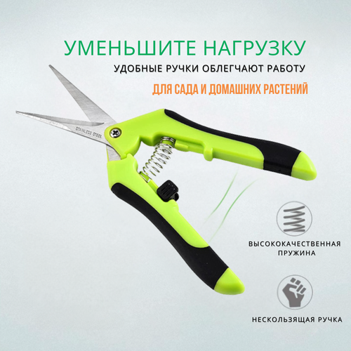 ���� ������� ������� ��� ������ ������������� / ������� �������/ ������� ��� ����. ����������� �����, ������ �� 319 ���