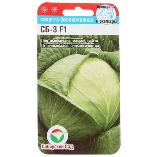 ���� ������ ������� 