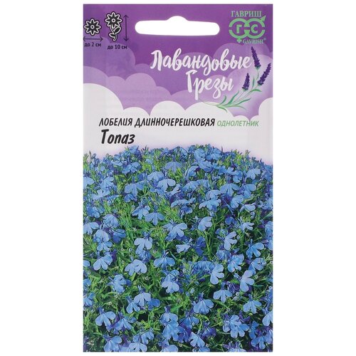 ���� ������ ������ ������� 