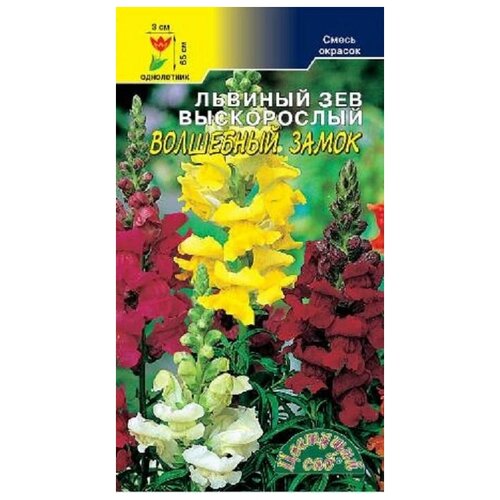 ���� ������ �������� ��� 