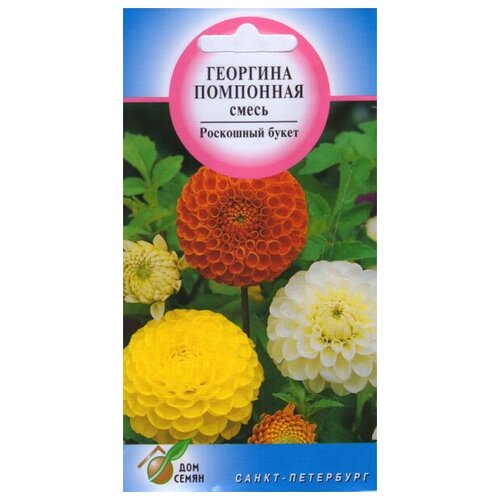 ���� �������� ��������� �����, 15 �����, ������ �� 229 ���