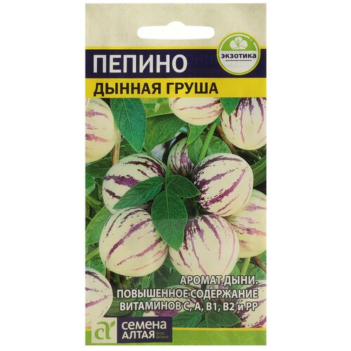 ���� ������ ������ 