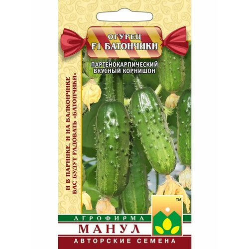 ���� ������ ������ 