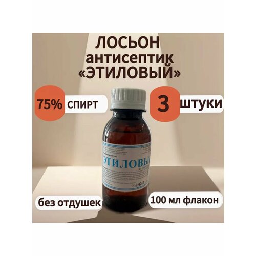 ���� ������ ���������� 