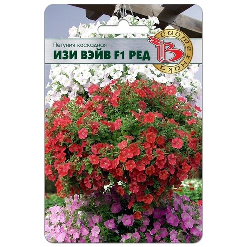 ���� ������ ������� ��������� 