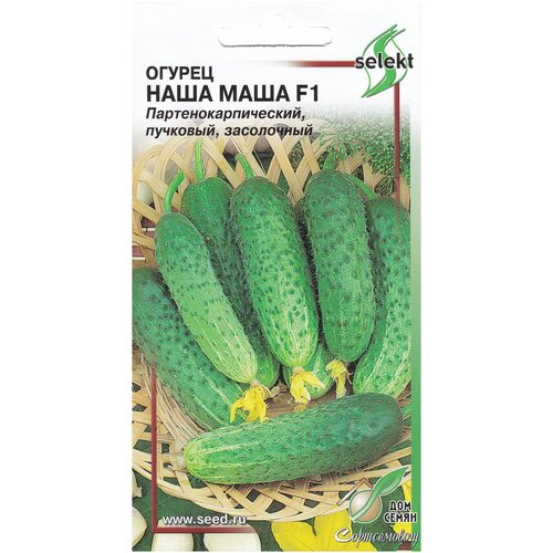 ���� ������ ���� ���� F1, 10 �����, ������ �� 249 ���