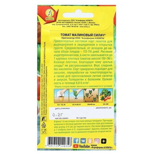 ���� ������. ����� 