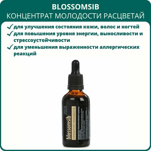     Blossomsib, 50 .   , ,     ,   1490 