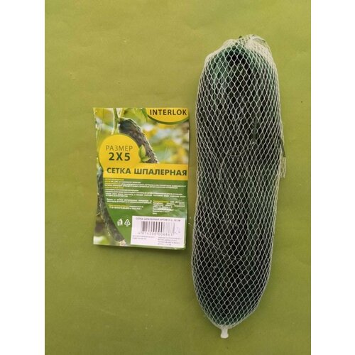 ���� ����� ��������� ������� 2 � 5 �., ������ �� 333 ���