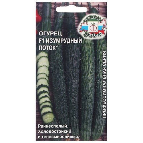     F1  (1 : 0,2  ),   166 