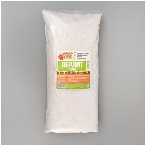 ���� ������ ����� 