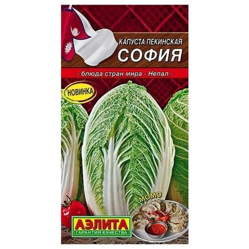 ���� ������. ������� ��������� 